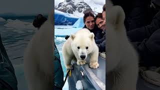 🐻‍❄️ Tiny Polar Bear's Heartwarming Rescue! 😍 #PolarBearRescue #WildlifeConservation #ArcticAnimals