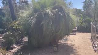 Royal Botanic Gardens Cranbourne