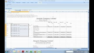 ACCPAC Financial Statement Designer.avi