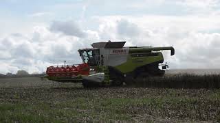 Claas 760TT Lexion Harvesting Beans