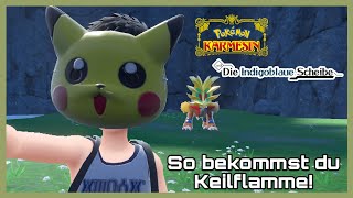 So bekommst du Keilflamme! Pokemon Karmesin Purpur DLC die Indigoblaue Scheibe