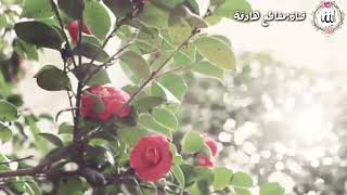 مقطع ديني مؤثر🌹 خواطر دينية قصيرة 🌹