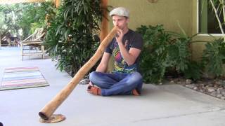 "Reading the Flames" Eucalyptus Didgeridoo by Derwood Yumundi