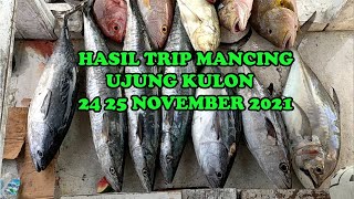 HASIL MANCING HARI INI, TRIP MANCING UJUNG KULON 25-26 NOVEMBER 2021