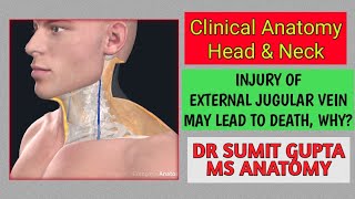 Clinical Anatomy : Head & Neck region