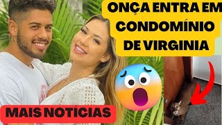 ONÇA ENTRA EM CONDOMÍNIO ONDE MORA VIRGINIA FONSECA E ZÉ FELIPE/   ⚠️ MAIS NOTÍCIAS