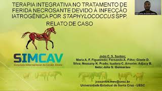 #86 TERAPIA INTEGRATIVA NO TRATAMENTO DE FERIDA NECROSANTE DEVIDO À INFECÇÃO IATROGÊNICA...