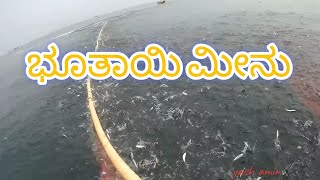 Persian boat catches tons of sardine fish (manglore)...part1 ⛵