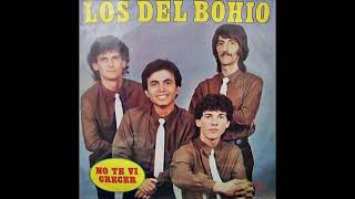 LOS DEL BOHIO - NO TE VI CRECER