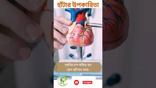 হাঁটার স্বাস্থ্য যত্ন টিপস | Health Care Tips of Walking