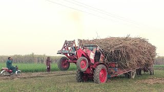 2 February 2024 Belarus tractor fully Amazing Stant enjoy video