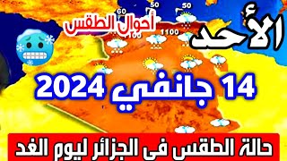 احوال الطقس غدا ضباب كثيف وبرودة على هذه الولايات غدا في الجزائر يوم الاحد 14 جانفي 2024