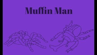 Bug World Production Music: Muffin Man