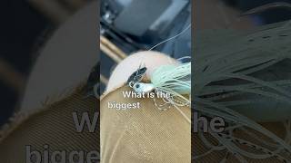 How To Fish A Chatterbait When There Is No Grass!