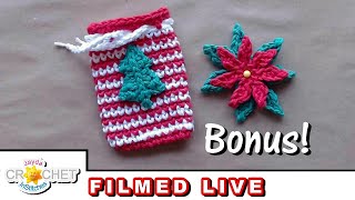 Christmas Soap Saver Scrubby - Crochet Live CAL - Tuesday December 12, 2023