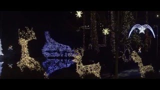 Christmas Lights Coquitlam & Vancouver Sony a7s ii 4K