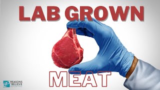 Lab-Grown Meat? A Christian Perspective