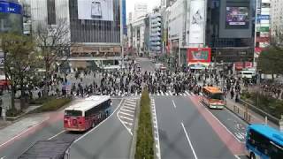 Japan - Tokyo - Shibuya