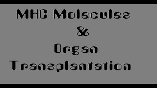 MHC Molecules & Organ Transplantation I Immunology I Class 12