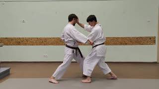 Jitte, Bunkai