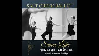 Swan Lake Post 4