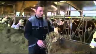 3948 economics agriculture TV 5 Monde Épicerie fine   la fourme d’Ambert 09 00