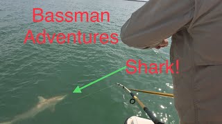 Bassman Adventures Season 3 Episode 29:    BlackTip Attack: Epic Catch of a shark