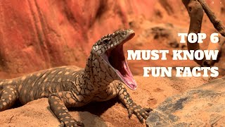 Discover the Incredible World of Monitor Lizards: Top 6 Must-Know Fun Facts!