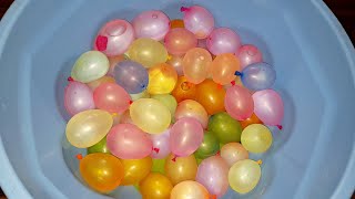 Balloon Asmr - Fun Water Balloons Pop part 20!!! balloon pops #satisfying #asmr #funny #meditação