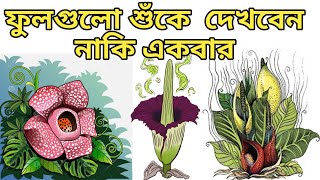 পৃথিবীর সবচেয়ে দুর্গন্ধযুক্ত ৯টি ফুল | Most Stinky 9 flowers in the world