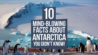 10 Mind-Blowing Facts About Antarctica You Didn't Know!