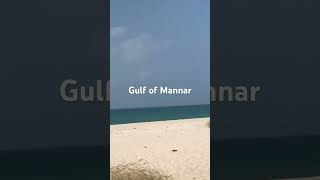 Gulf of Mannar || #beautiful #views #indianocean #viral 👌❤️