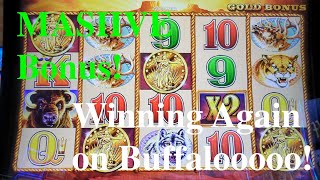 HUGE bonus on Buffalo Gold! Started with $100 and Walked Away with This Massive win.