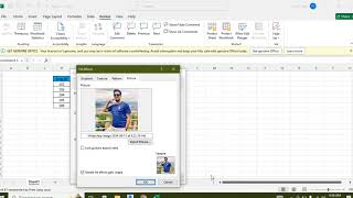 Display Picture on cell:Excel Trick