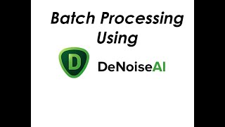 Topaz DeNoise AI Batch Processing