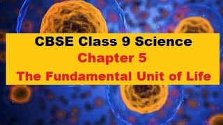 Science (Biology), Ch 5 The Fundamental Unit Of Life, (Part 1)