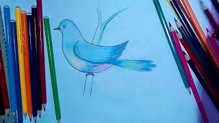 Bird Coloring Using Joytiti Colour Pencils | Step-by-Step Tutorial