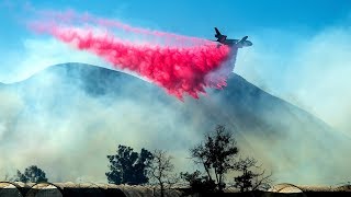 Американские школьницы о предотвращении лесных пожаров