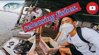 Travel vlog| feeding fishes| solo travel| release fishes| Thailand| Bhutanese| humanity| compassion.