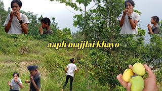 aaph majjlai khayo 🥭 Daily vlogs #youtube #viral #foryou #comedyvideo #rudraprasadsigdel