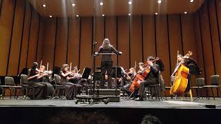 Cavatina by Antonin Dvorak/ arr. Robert Sieving