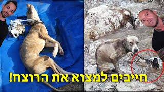 הם קשרו אותו בבור ונתנו לו לטבוע למוות ביסורים!