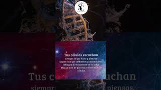 ✅sana tu cuerpo através de una comunicación con tus células 🧘🏻‍♀️ #leydeasuncion #amor