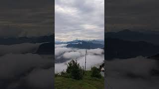 06 July 2024 kalatop wildlife sanctuary Trekking contact us 8219747425 #shorts #video #nature