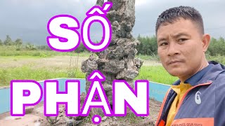 SỐ PHẬN - THỜI VÀ THẾ #batdongsan #bdsbienhoa