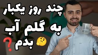 چند روز یکبار به گلم آب بدم ؟🚿 | بهترین زمان آبیاری گل و گیاه🌳