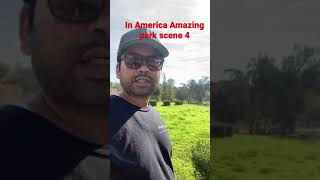 In America Amazing park scene 4