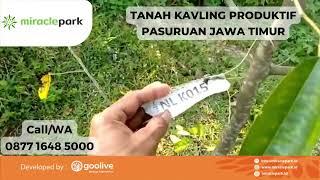 Tanah Kavling Produktif Pasuruan Jawa Timur.  Buy Now, Call 087716485000