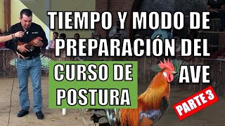 Curso de postura GRATIS por el ganador Mike Reséndiz | Parte 3/7 Tiempo y modo de preparación.