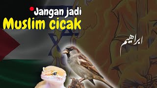 Kisah Cicak dan burung pipit saat Nabi Ibrahim ketika dibakar Namrud